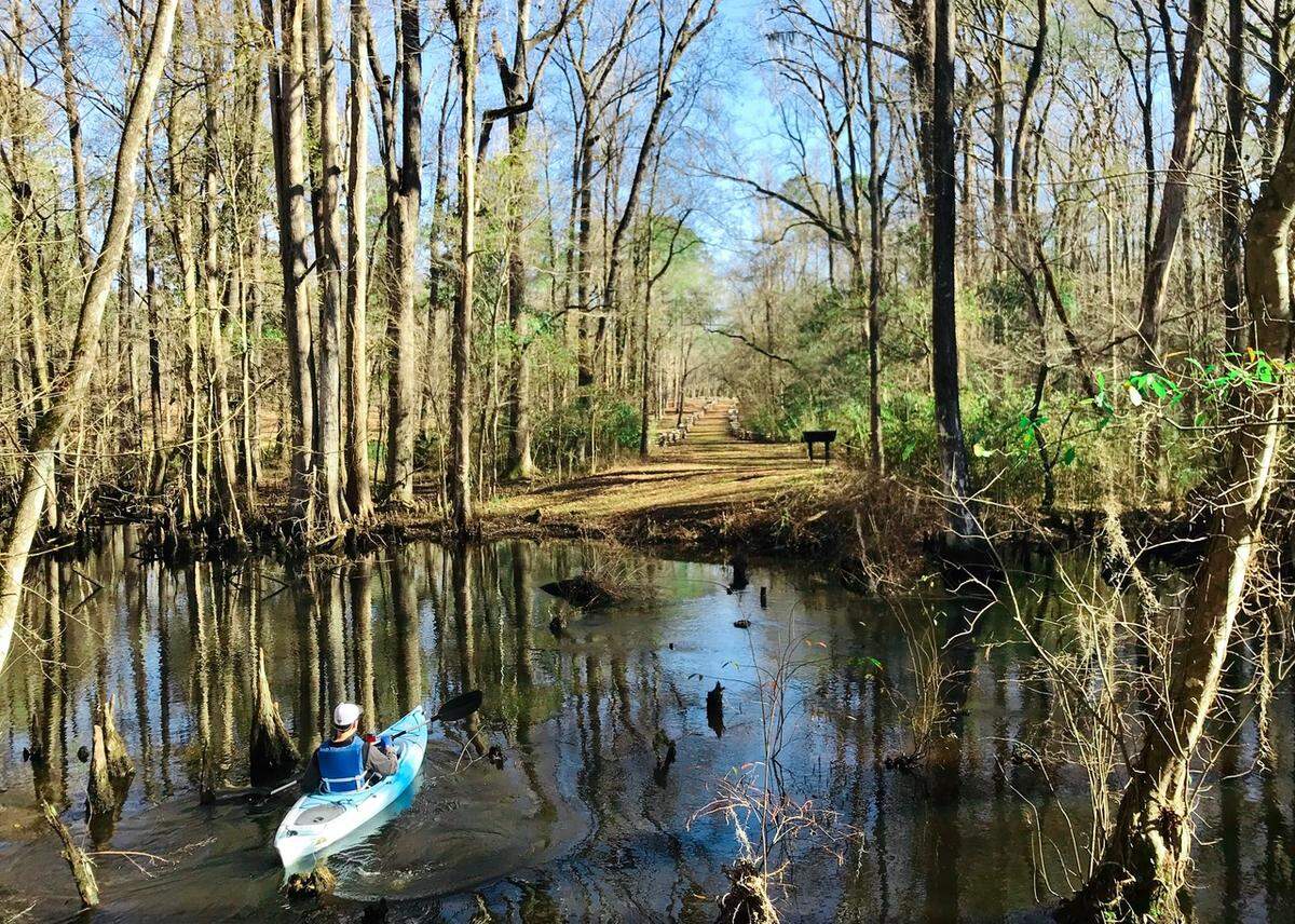 The Rivers Bridge Battlefield overlooks the Salkehatchie River near Erhardt and marks the site of one of the Confederacy’s last stands during the Civil War. Here, General Sherman’s Union Army waded the icy February swamps of the Salkehatchie to attack and defeat the rebels entrenched on the hills above. Kayaker Alan Eisenman of Beaufort paddles past the state historic site on a beautiful spring morning.