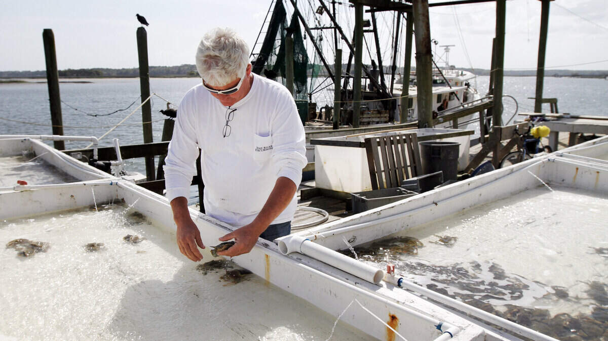 Larry Toomer, the Bluffton mayor since January, is also the owner of the Bluffton Oyster Company. He has been working the local waters since he was eight years old.