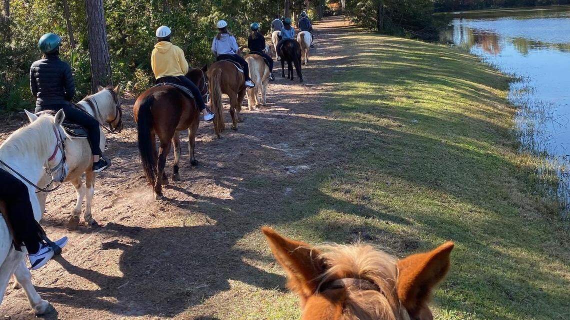 Hilton Head stables reopening for trail rides with a few changes because of coronavirus