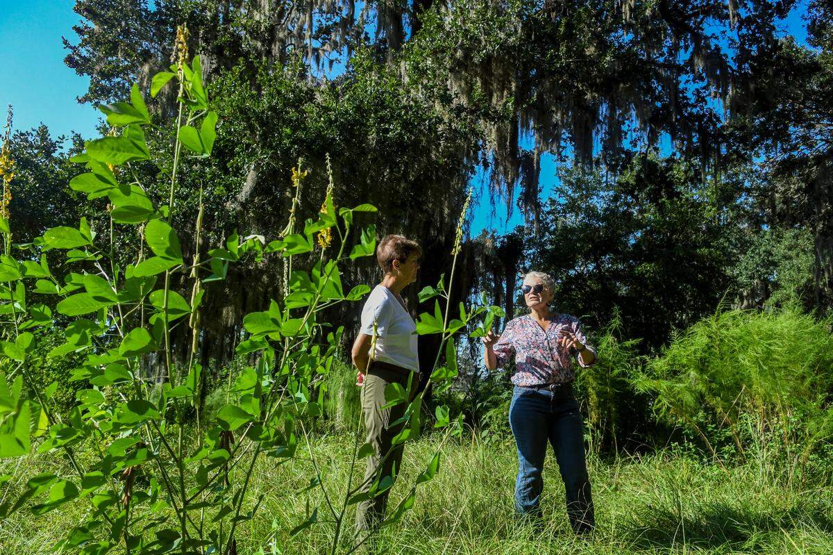 Sylvia Woolard, left, and master gardener Hope Cunningham stand next to the massive live oak in Cherry Hill Plantation on Sept. 21, 2022, in Port Royal.