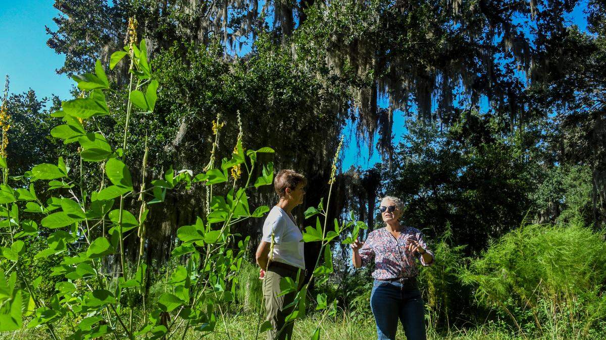 Sylvia Woolard, left, and master gardener Hope Cunningham stand next to the massive live oak in Cherry Hill Plantation on Sept. 21, 2022, in Port Royal.