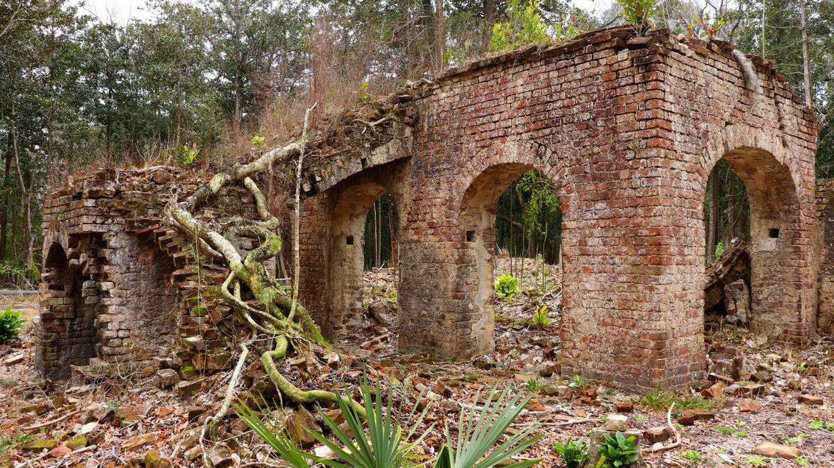 The ruins of Eldorado plantation may be found on a remote corner of the Santee Coastal Reserve. Dating from 1797, this plantation survived hurricanes and the Civil War to burn in the late 19th century. Today, an easy hiking trail takes visitors to the site and is a reminder of the refuge’s storied past.