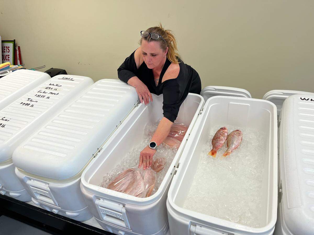 Brandy Diehl arranges fish fillets at Lemon Island Seafood Market Wednesday, May 4. “We sell a ton of trigger,” Diehl says. Grouper and peeled and deveined shrimp are popular as well.