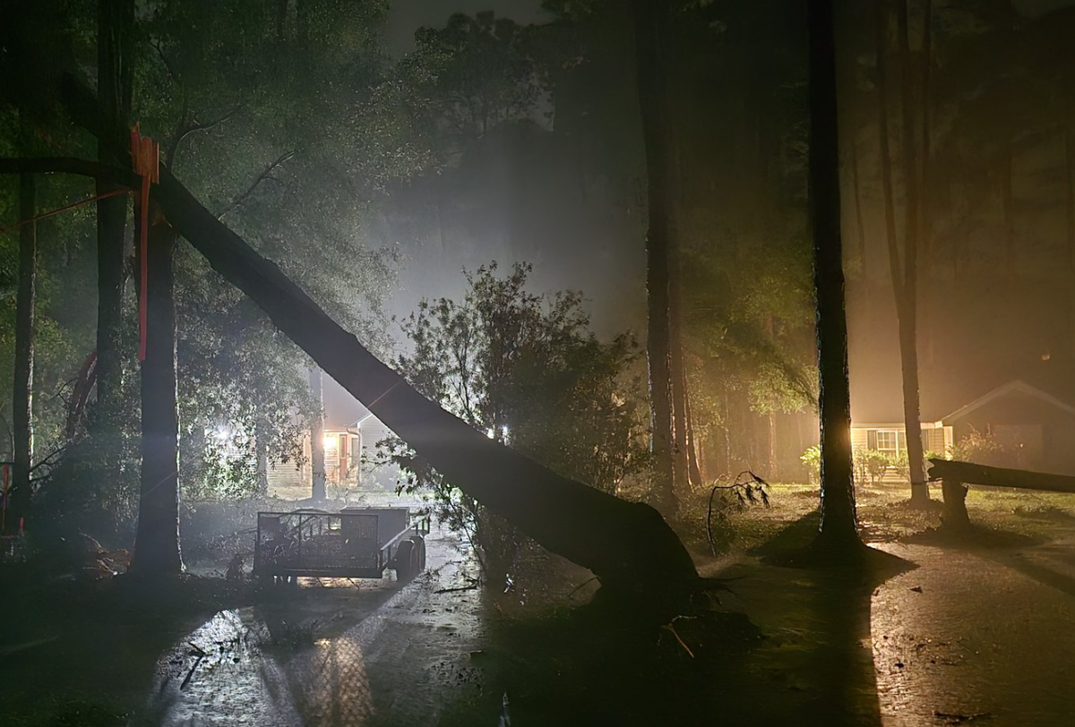 Storm chaser and former Beaufort resident Ben McHone photographed several split trees off Sams Point Road on Lady’s Island just minutes after a tornado charged through the area. The “short-lived, high-end EF0” twister developed around 1 a.m. Tuesday from the outer winds of Tropical Storm Debby, the National Weather Service says.