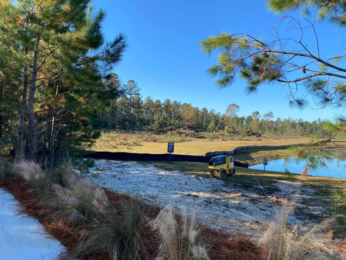 Developers in the sprawling Latitude Margaritaville Hilton Head neighborhood cut down trees on Nov. 16, 2021.