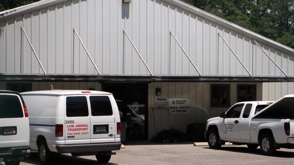 The Beaufort County Animal Shelter was closed on Wednesday following the death of Rhashard Spikes, 21, an employee of the shelter.  Spikes died just after midnight after being shot in what the Beaufort County Sheriff's Office is calling a road-rage incident on Hilton Head Island around 9 p.m. on Tuesday night.