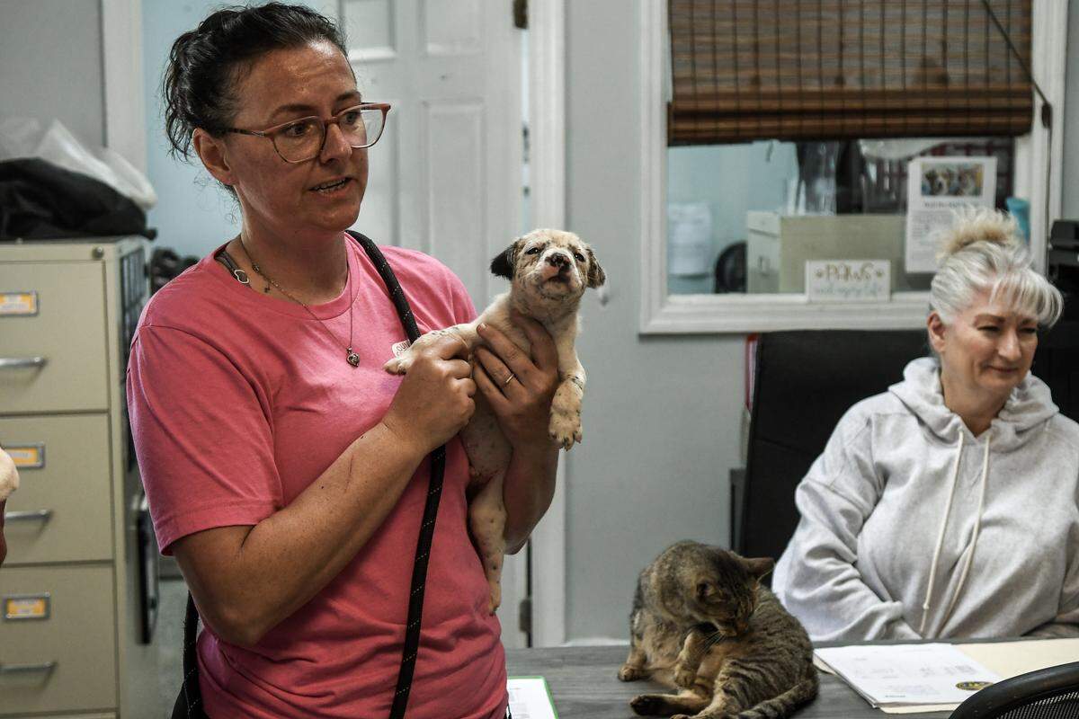 Kim Caffero, with Beaufort County Animal Services, holds one of several surrendered pitbull-mixed puppies on Aug. 20, 2025, at the former Jasper Animal Rescue Mission in Ridgeland. The puppies were on their way to the Okatie facility, and when ready,  they will be placed for adoption.