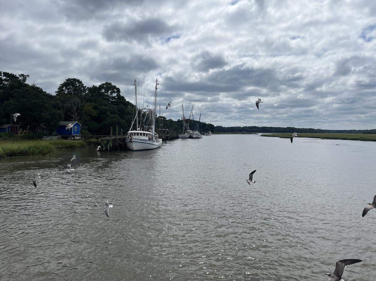 Shrimp boats are tied up along Village Creek on St. Helena Sound.