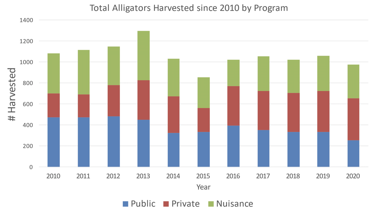 Total alligators harvested in the state since 2010 by South Carolina Department of Natural Resources’ program.