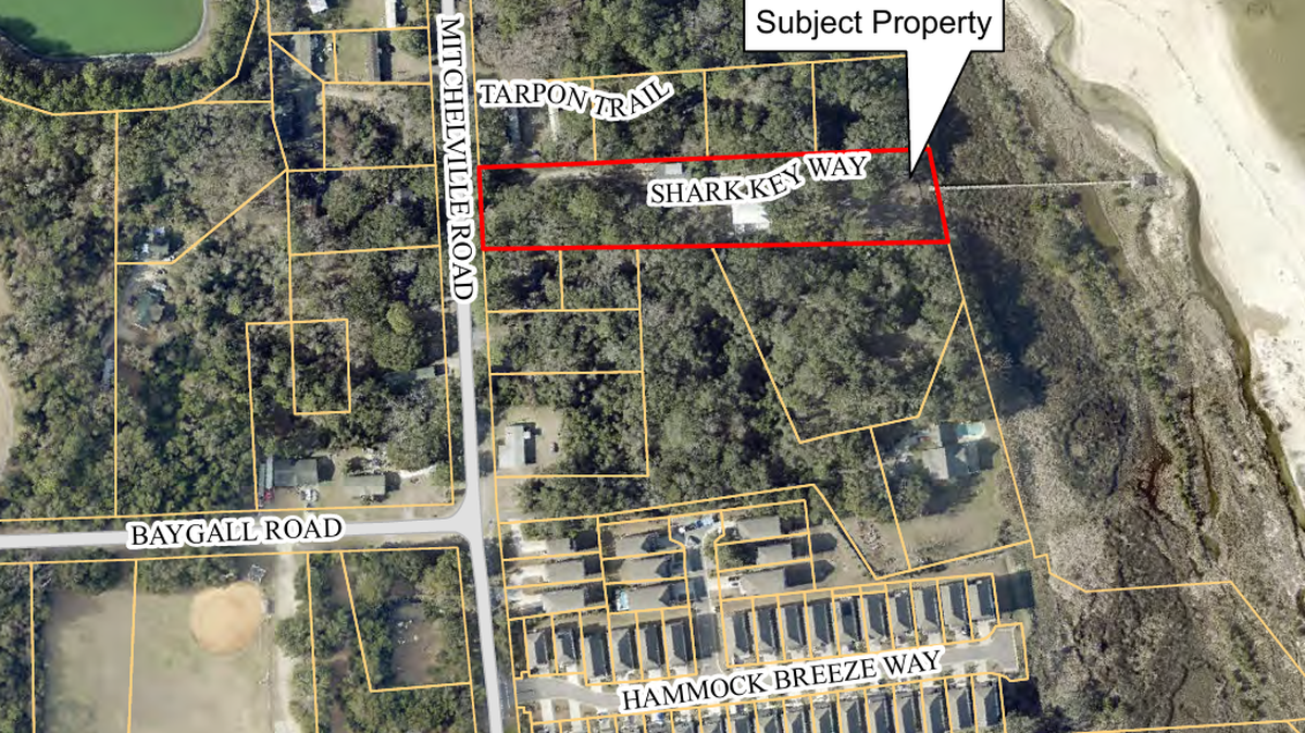 The Board of Zoning appeals denied a North Carolina couple’s request for a zoning exemption that would allow them to use their short-term rental property near Fish Haul beach as a wedding venue.