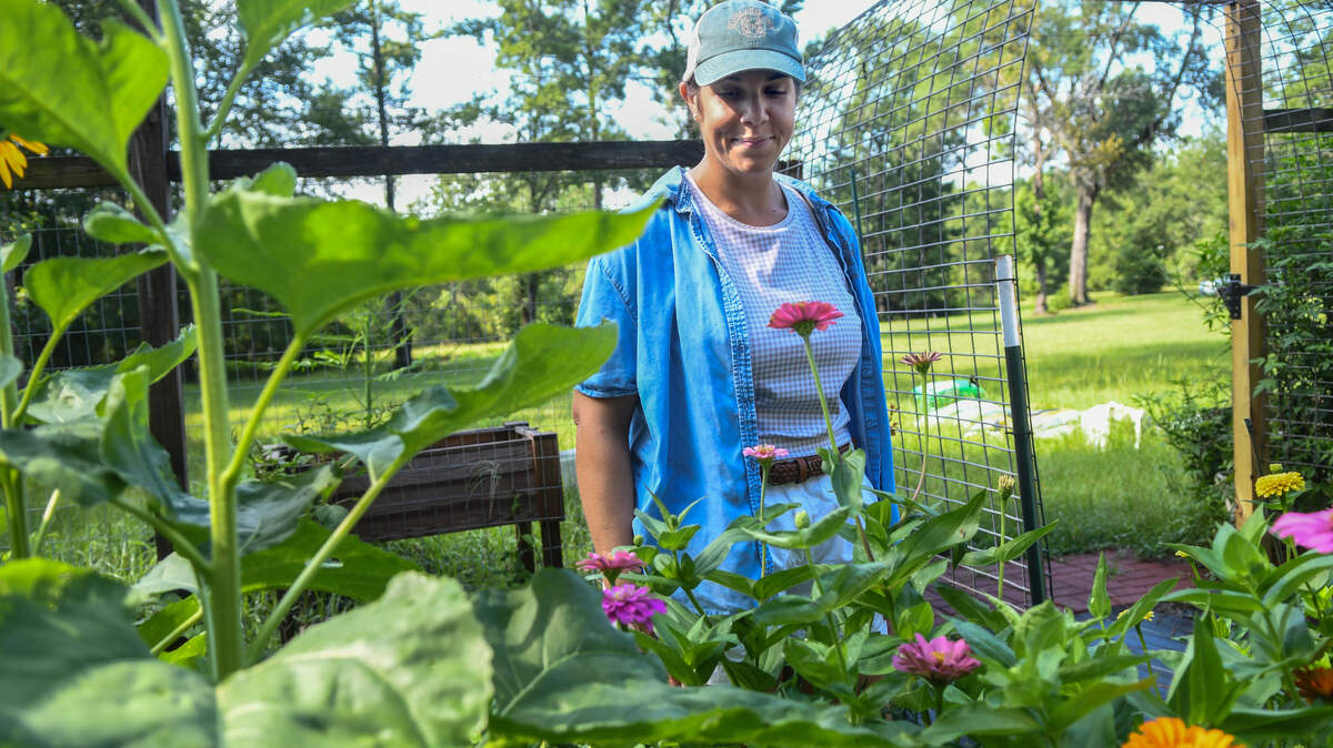 HelenaHillsFarmDM01.jpg