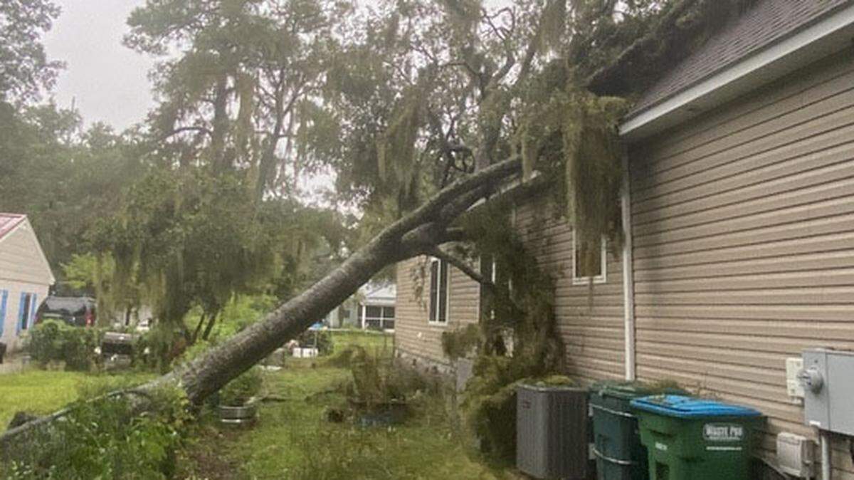 A fallen tree found its resting place on the side of a home on Ritter Circle in Port Royal. Trees have been falling as a result of both saturated soil and brisk winds from Idelia.