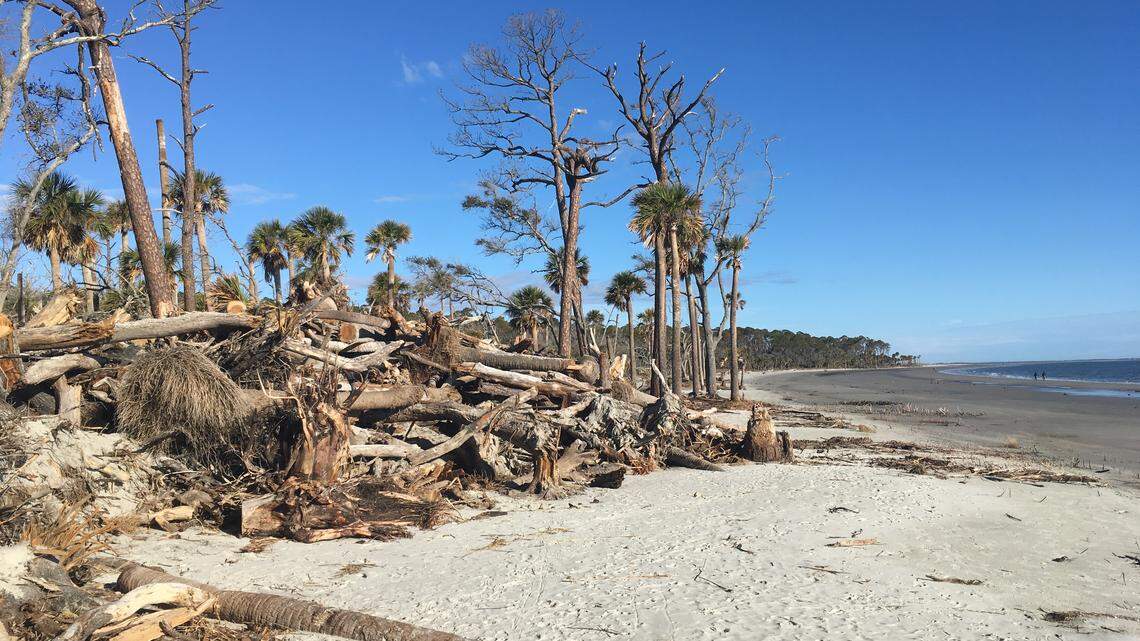 Did clearing Hunting Island’s picturesque boneyard violate rules? SC officials say no