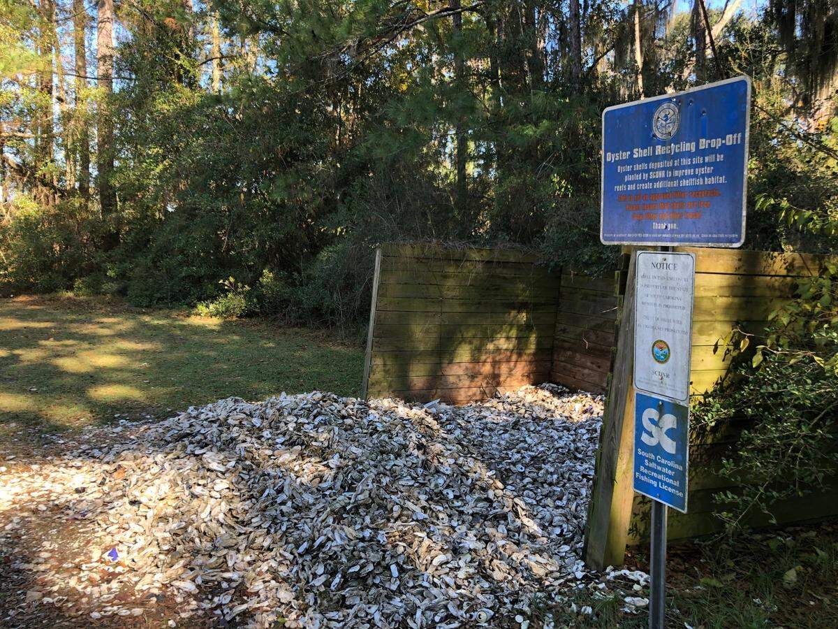 The oyster shell recycling bin in Bluffton at H. E. Trask, Sr. Boat Landing on Dec. 18, 2020.