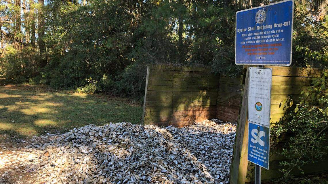Eating oysters this holiday? How your shells can protect Beaufort County’s coastline