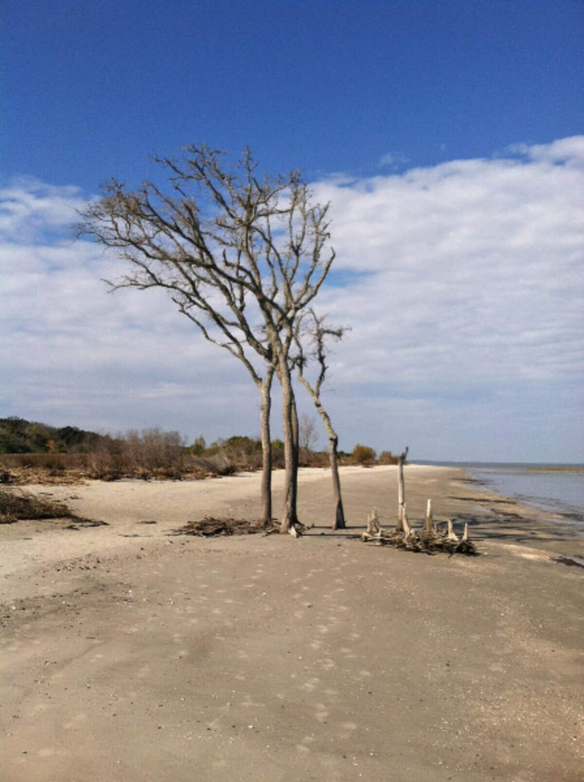 This bare, lonesome looking tree standing on Mitchelville Beach on Hilton Head Island takes the load off many beachgoers’ minds as they pass by.