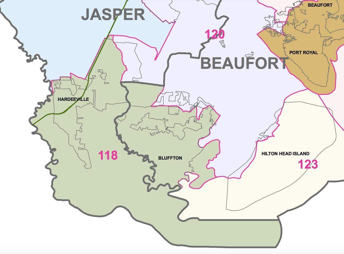 Screenshot of S.C. House of Representatives District 118 map. 