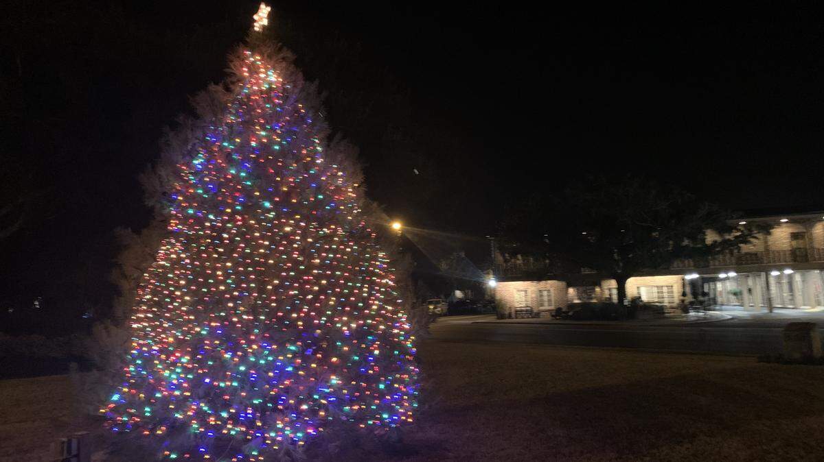 Downtown Beaufort’s Christmas tree