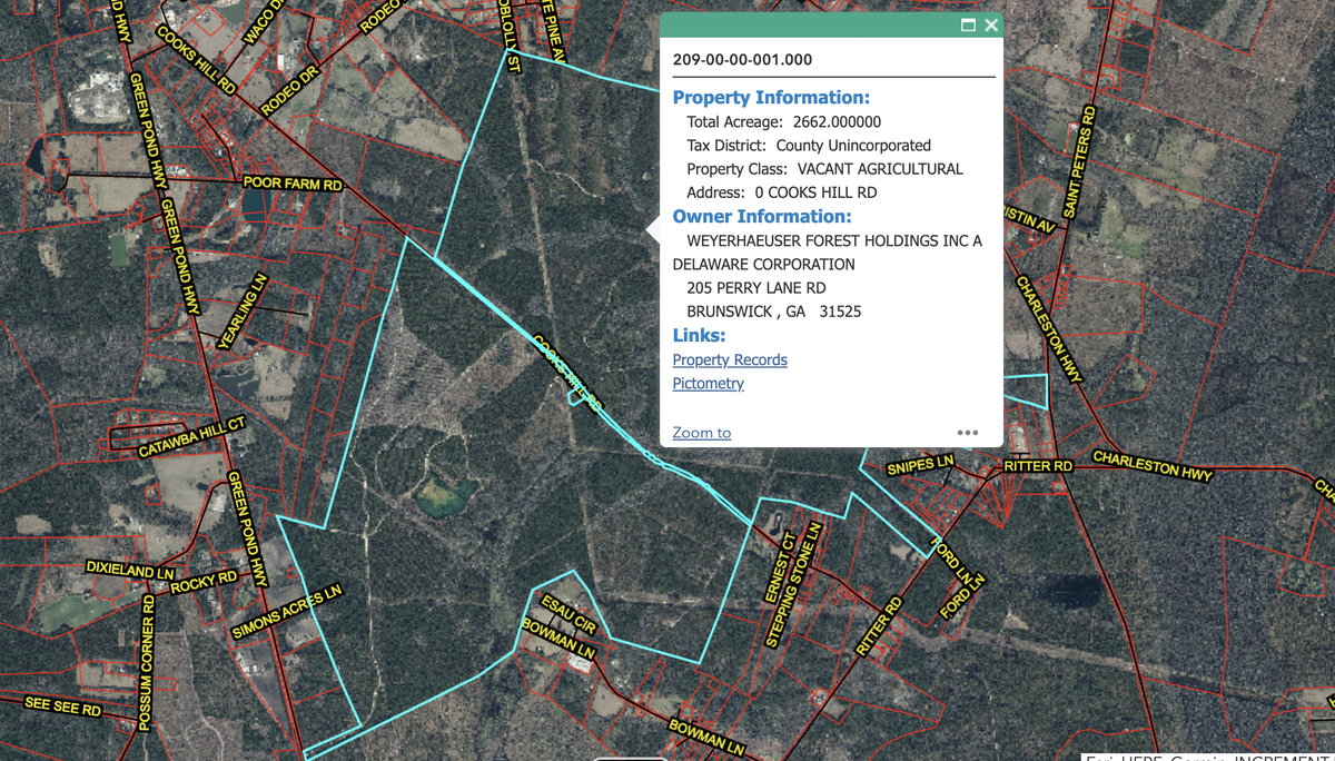 Of the more than 2,500 acres owned by Weyerhaeuser Company, 89 acres could possibly be used for a data center in Walterboro, South Carolina, pending zoning approval by the Colleton County Council.