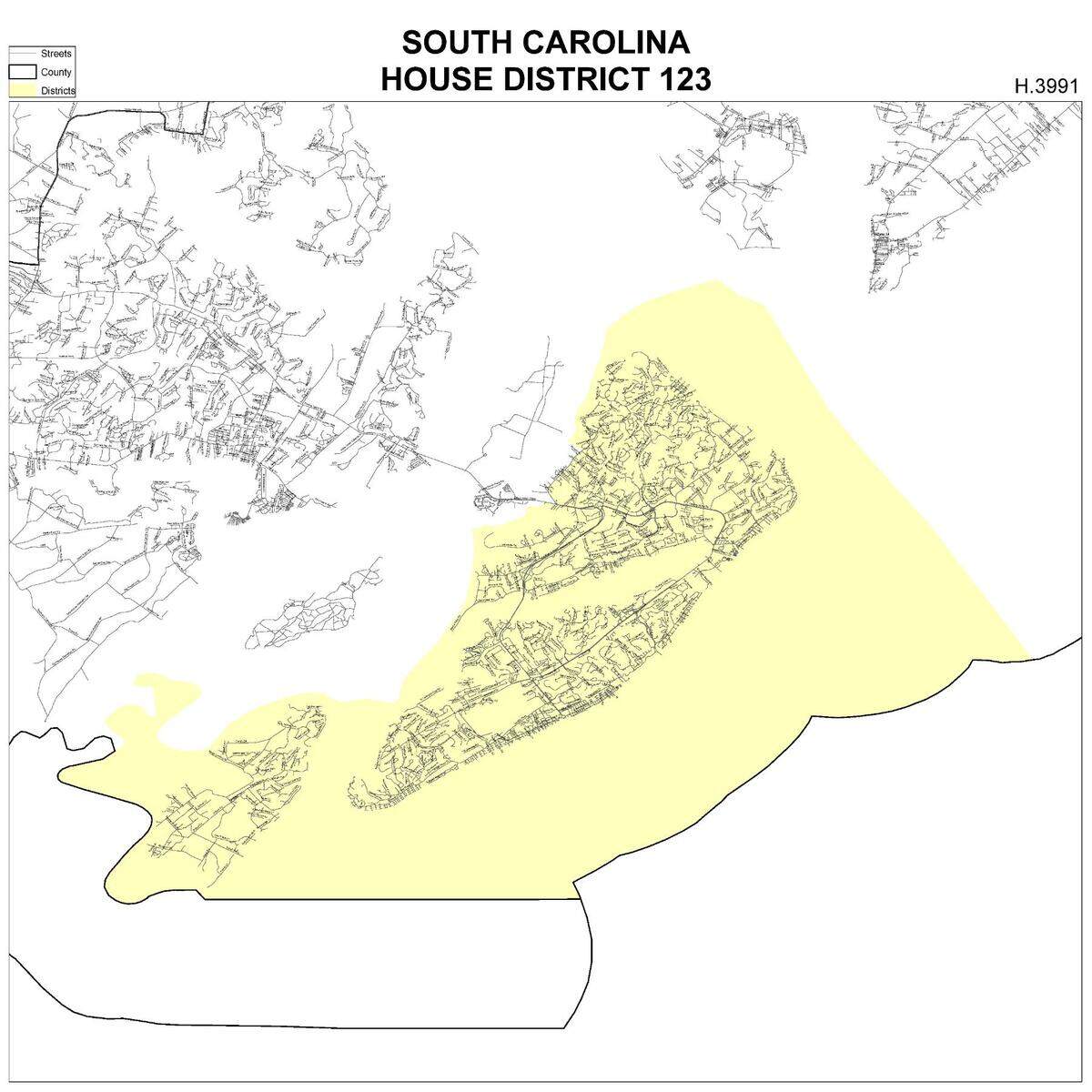 The S.C. House’s 123rd district, which encompasses Hilton Head and Daufuskie Islands. Incumbent Jeff Bradley is being challenged by Christine deVries in the 2020 election.