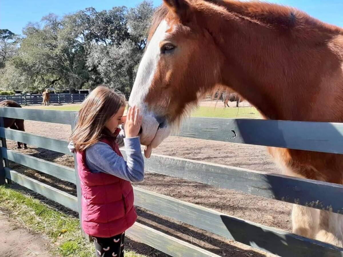 Sadie Wilson shares a moment with Harley, the Clydesdale horse who lived at Lawton Stables for 12 years. “He was always her favorite part of Hilton Head vacations,” Sadie’s mom, Jessica, said. “She was never afraid of him and he never flinched at her energy.”