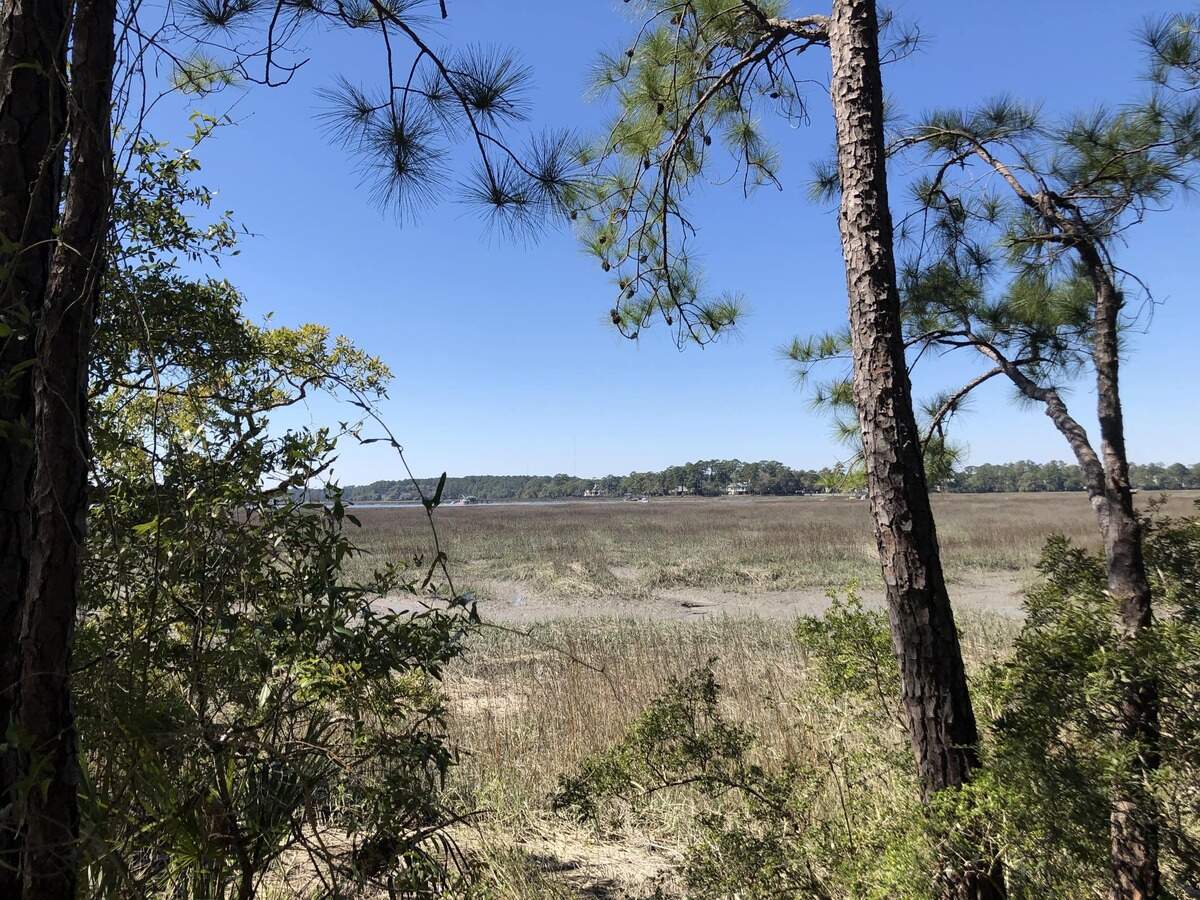 A view from Pinckney Point along Pinckney Colony Road on March 8, 2021.