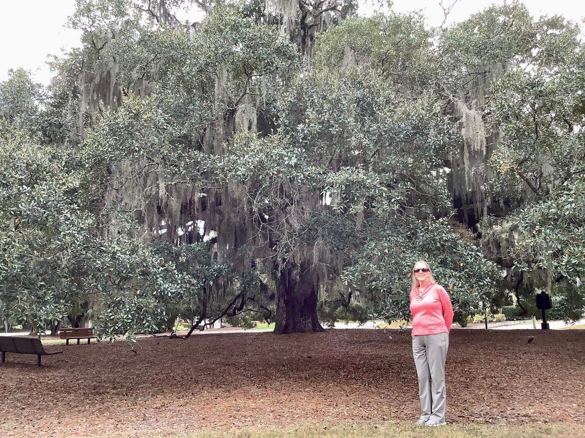 Sally Krebs “The Tree Lady” poses on Dec. 30, 2021, at Hilton Head Plantation’s Talbird Oak, considered one of the island’s finest trees, and one she talked a developer into keeping in open space rather than a single-family lot.