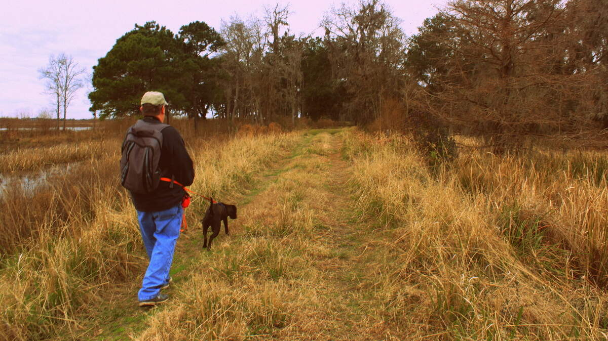 John Ring of Bluffton and dog Vader explore one of the seven miles of hiking trails at Ernest F. Hollings Wildlife Management Area near Edisto Island. This is a closely-managed federal wildlife refuge that allows visitors with leashed dogs as well as working dogs employed during seasonal hunts.