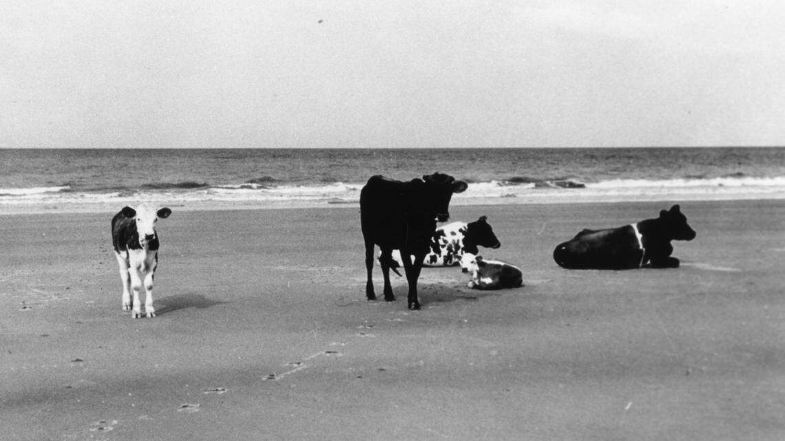 Her ‘Mother’ and ‘Daddy’ shaped the new Hilton Head. Now she’s ‘Daughter of the Dawn’
