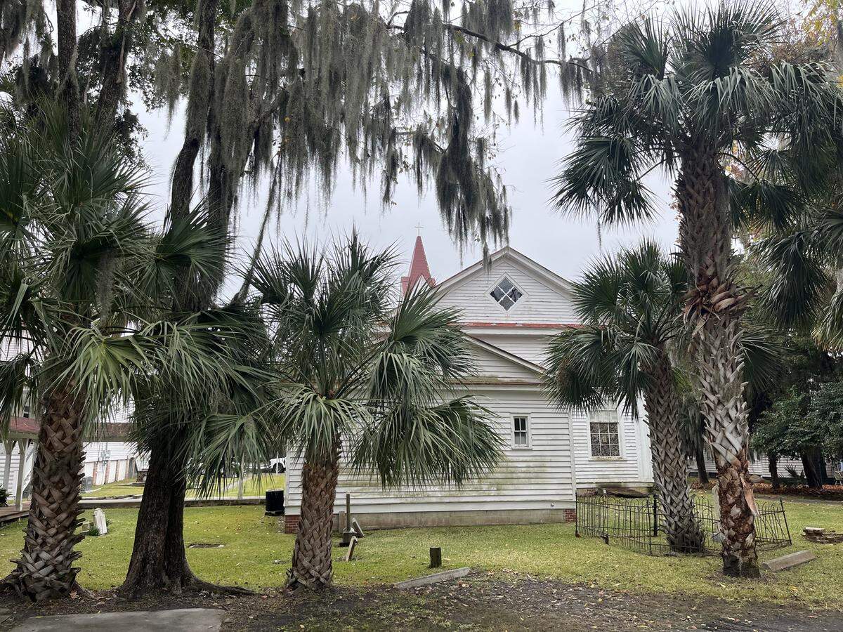 Palm trees behind the Tabernacle Baptist Church in downtown Beaufort frame its restored iconic steeple.
