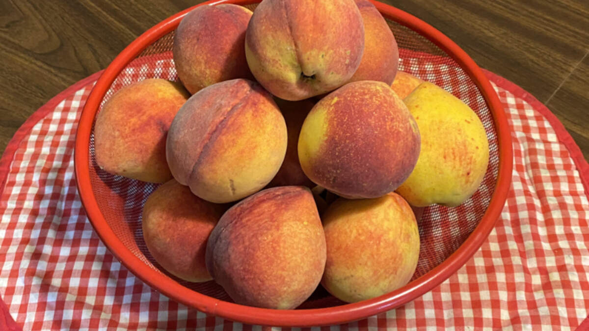 What’s more inviting than a bowl of fresh, colorful and ripe peaches, with their wonderful aroma, sitting on your kitchen table?
