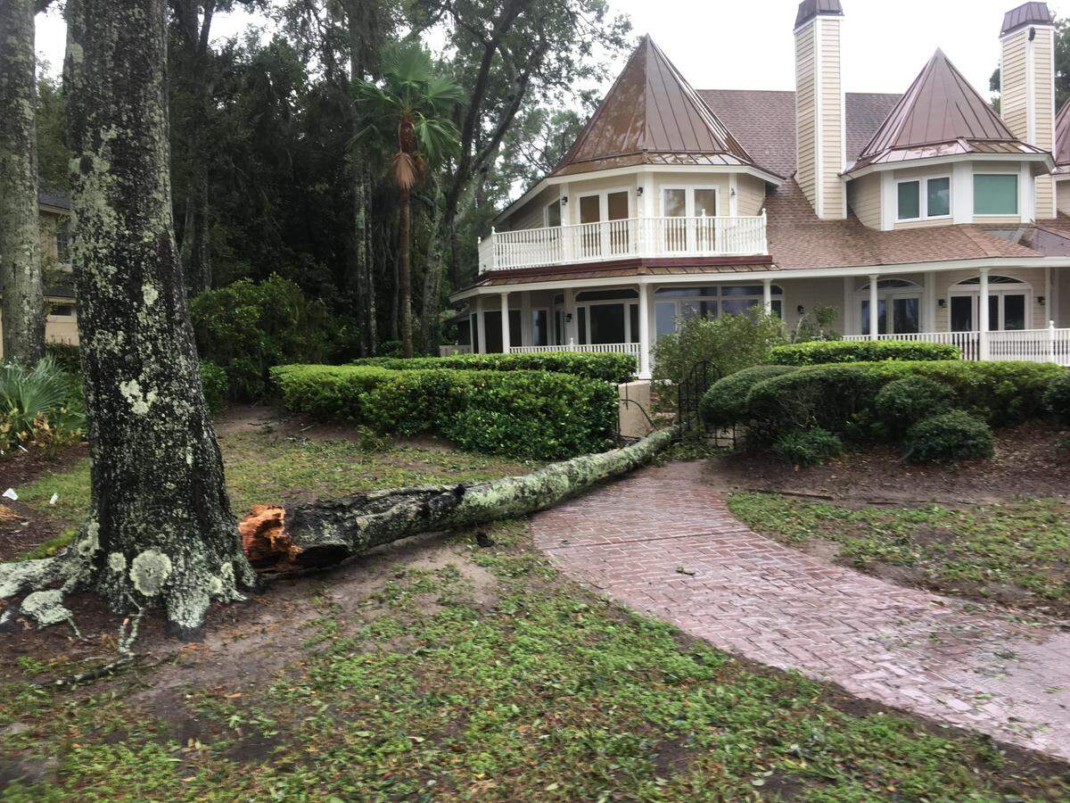 A tree falls close to a home across the street from Dolphin Head Park.
