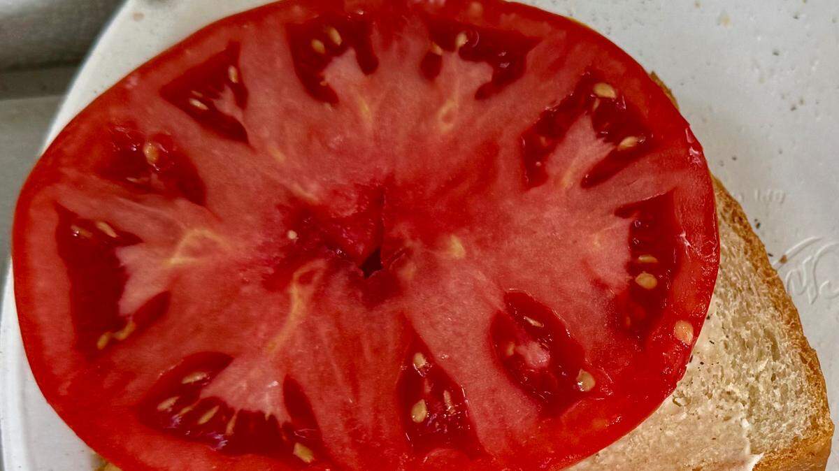 The perfect tomato sandwich makes life worth living in South Carolina.
