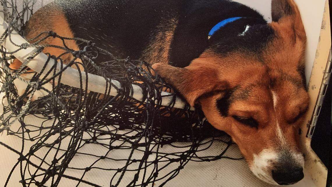 ‘No worries, Dad’: Fishing in the SC Lowcountry during the coronavirus pandemic