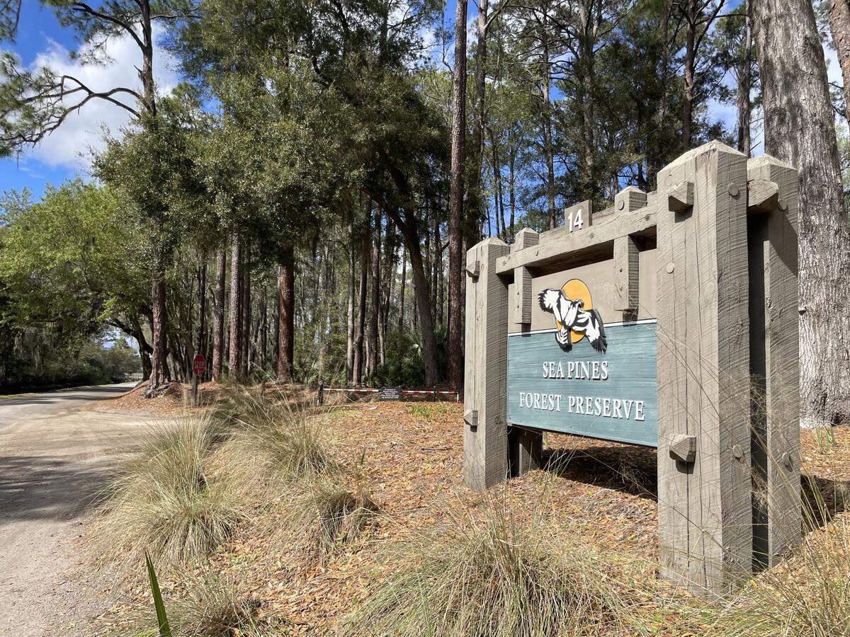 A new bicycle-friendly leisure trail is planned for the Sea Pines Forest Preserve, photographed here on March 12, 2026.