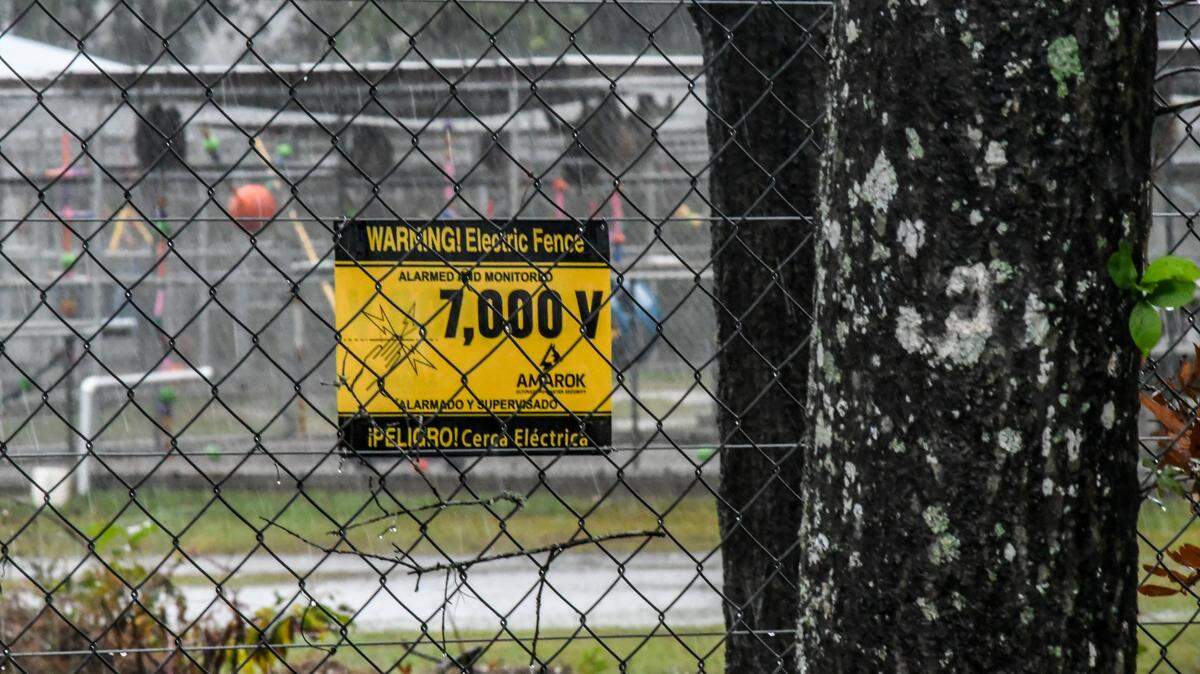 A sign warns of an electric fence as primates can be seen from Salkehatchie Road as they seek refuge in their enclosure from the rain as photographed on Nov. 7, 2024 in Hampton County, S.C. This expansion of Alpha Genesis was not the facility where the 43 female primates escaped from but is located about five miles from the Castle Hall Rd. facility which is located in the Town of Yemassee.