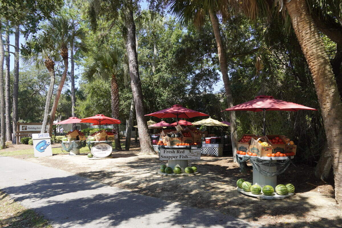 Carolina Seafood’s new stand is located alongside South Forest Beach Drive on the southeast end of Hilton Head, right by the Holiday Inn Express.