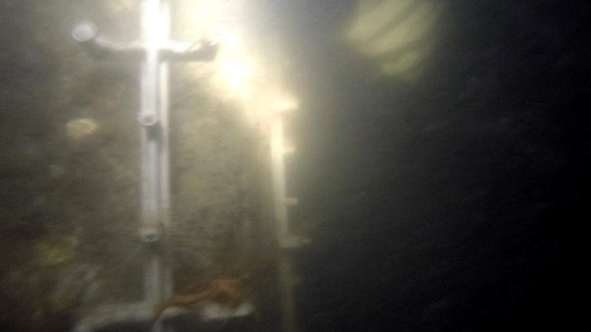Pictured is one of the pilings of Beaufort’s Henry C. Chambers Waterfront Park photographed on Thursday, May 10, 2018, as a fish, upper right of frame, swims near the diver. The protruding clips are part of the installation process used by contractors to fortify the pilings with an epoxy grout.