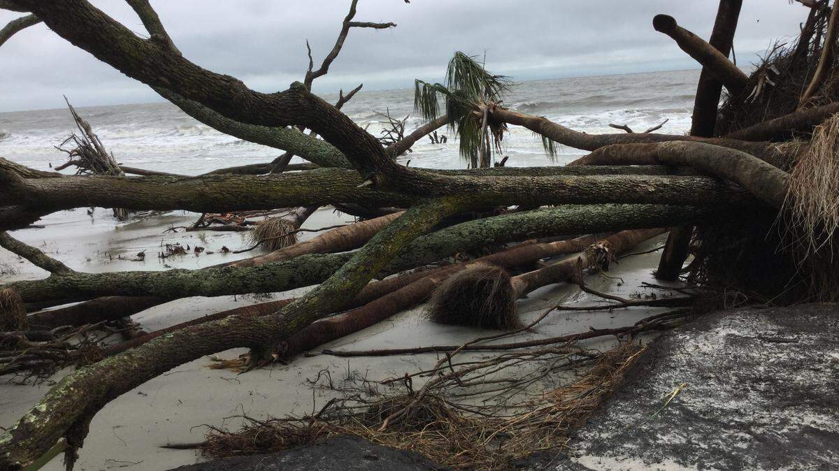 Hunting Island suffered damage from unusually high tides related to storm activity on Oct. 5, 2015.