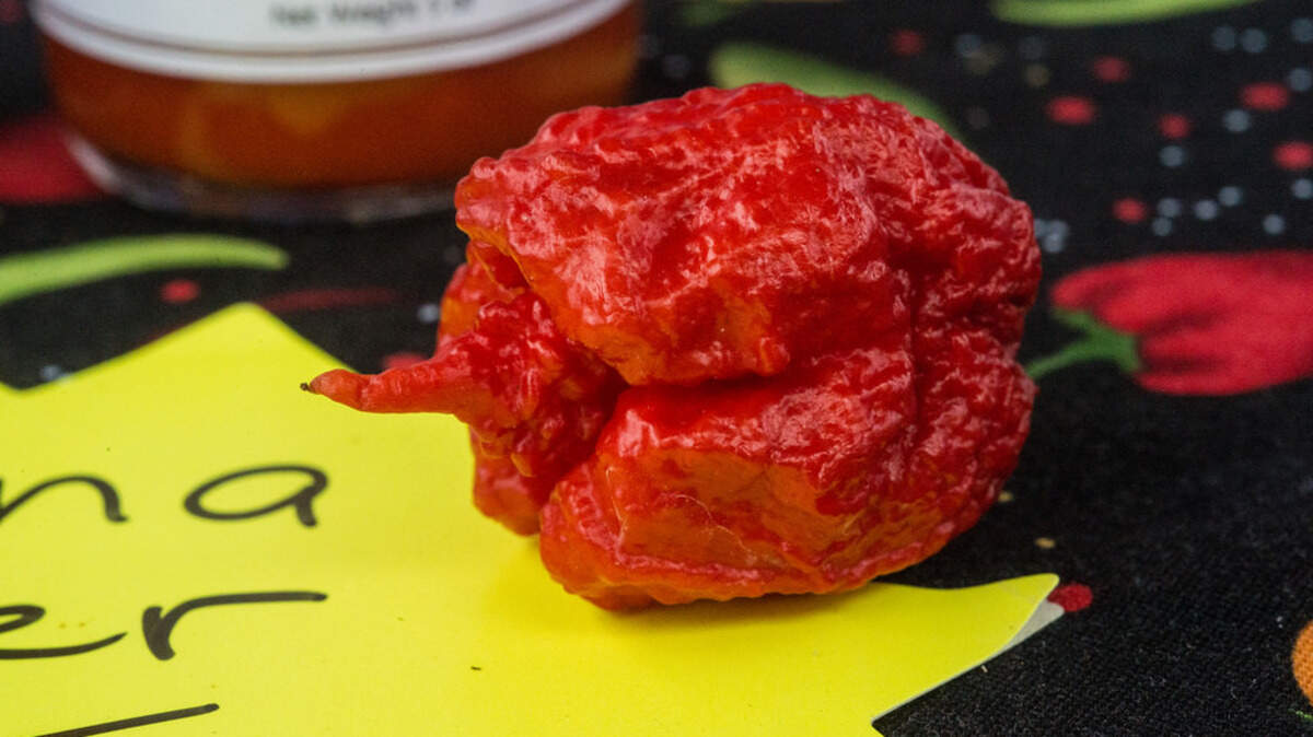 Students at May River High School in Bluffton, S.C. became sick on Wednesday, Sept. 19 after trying Carolina Reaper Peppers.