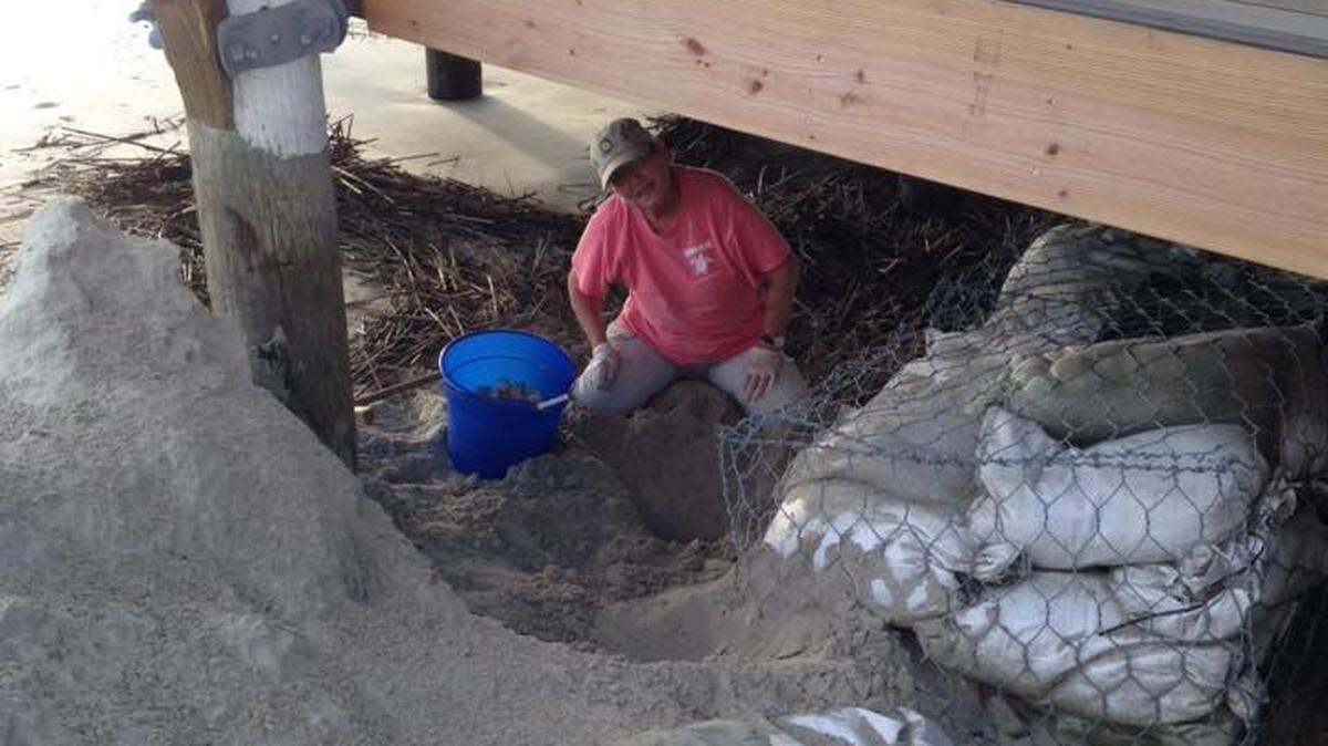 Fran Nolan works to relocate a sea turtle nest from under a home on Harbor Island in 2016. Nolan has headed the island's turtle program the past 10 years and was recognized on Friday, April 20, 2018 with the Order of the Palmetto, the state's highest civillian honor.