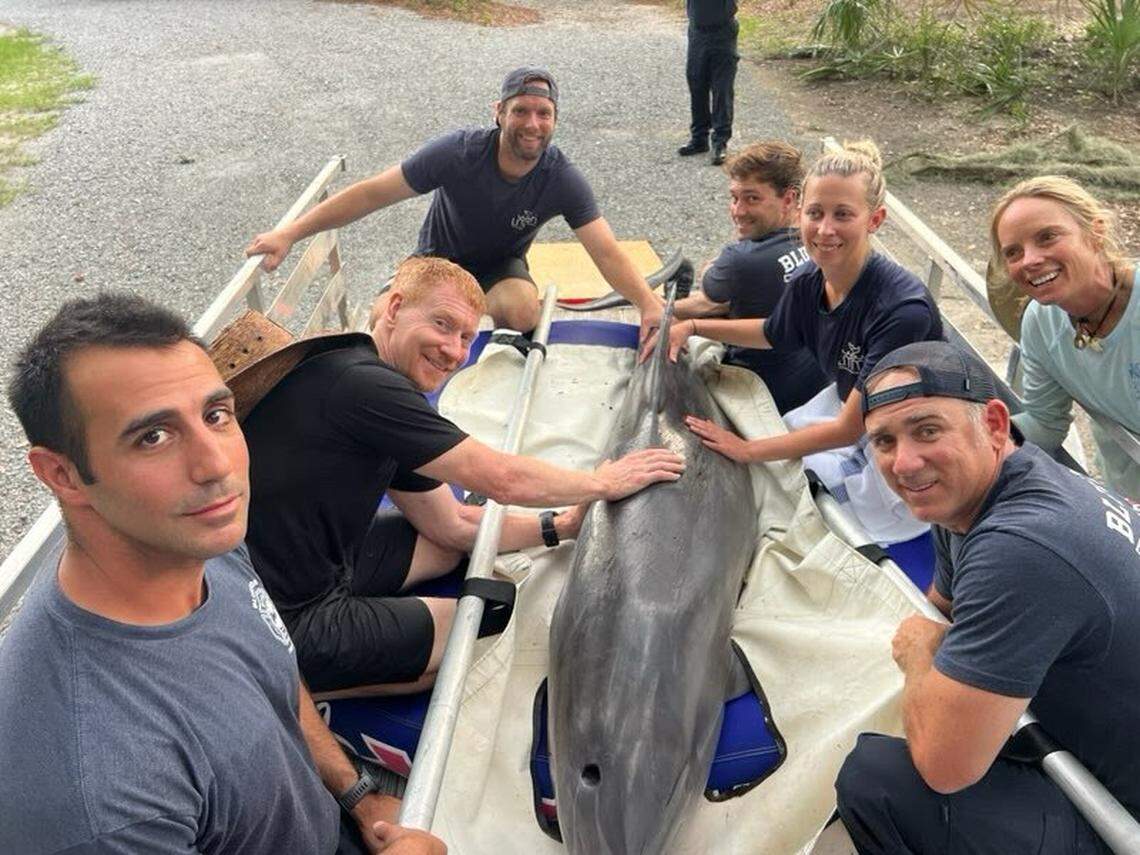 Rescue crew members posed for a photograph with Lucky, an approximately 8-foot dolphin who was rescued from a shallow Bluffton-area lagoon July 12, 2025. From left to right: Bluffton Township Fire District engine operator Brandon Driscoll; Hampton Lake resident and volunteer Thomas Layer; Lowcountry Marine Mammal Network volunteer John Kane; BTFD senior firefighter Aaron Angel; LMMN stranding technician Tracy Kowalczyk; BTFD senior firefighter Tony Crosetto and Turtle Rescue volunteer Amber Kuehn.