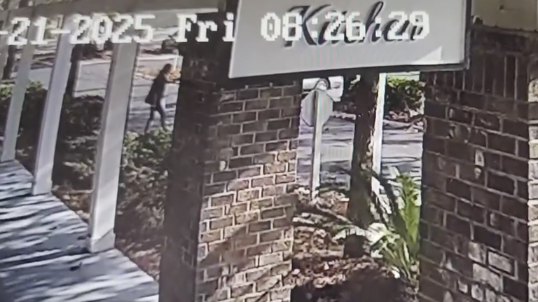 Driver, 86, arrested after pedestrian was struck outside Hilton Head eatery