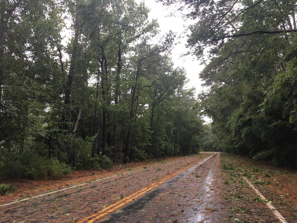 Sea Pines Entrance