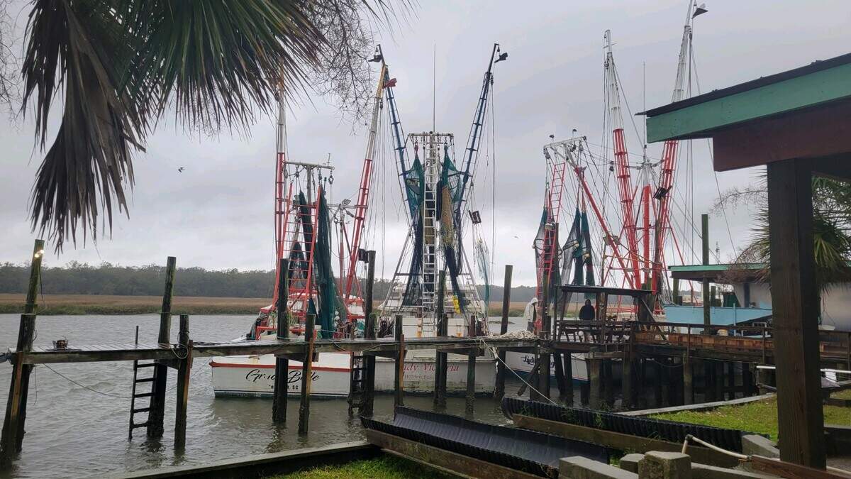 High winds snapped pilings and blew these shrimp boats off the dock at Village Creek on St. Helena.