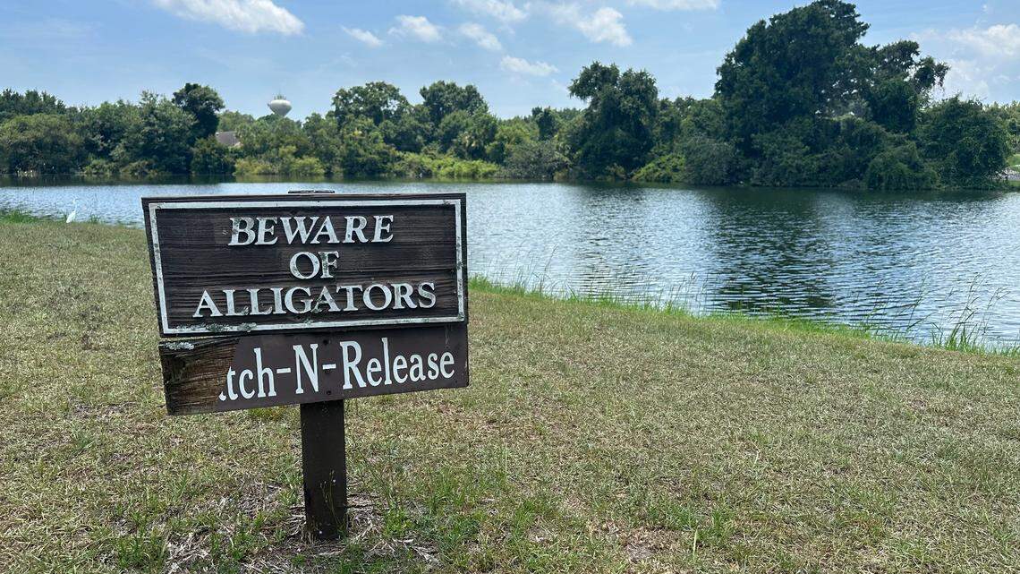 Watch out. These are 5 of the most dangerous critters found throughout SC