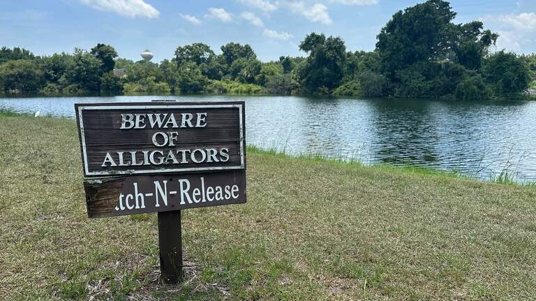 Beaufort has had multiple alligator attacks in recent years. Here are the details
