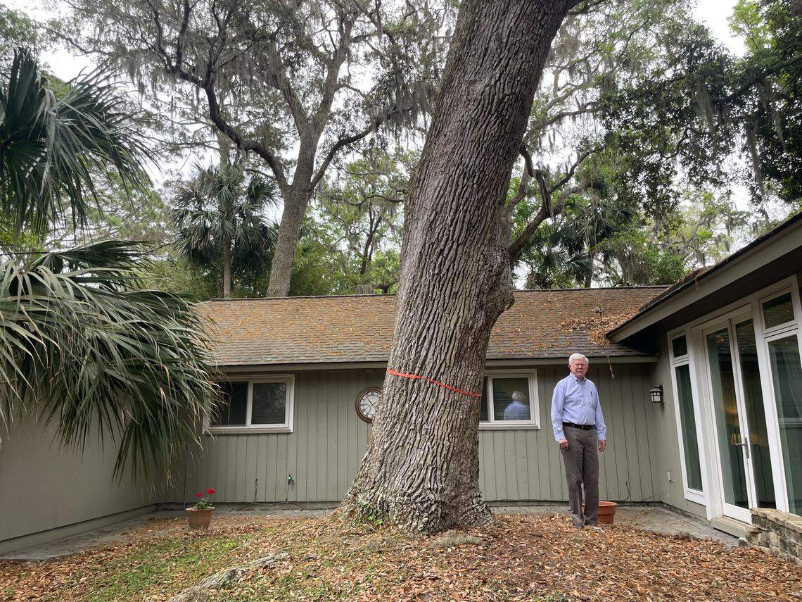 Forest Beach resident Daniel Kirchberg stands in his backyard next to a two-foot wide live oak tree. The 78-year-old retiree wants to install a hydrotherapy pool for his wife, who suffers from a knee injury, but the town’s tree protection ordinance could prevent that.