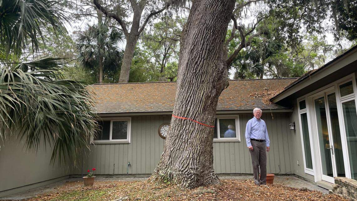 Hilton Head couple wants a backyard pool. One tree stands in their way