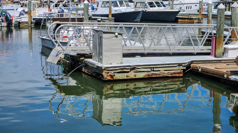 Holes in the net: Hilton Head marinas safe for fish, but are they safe for people?